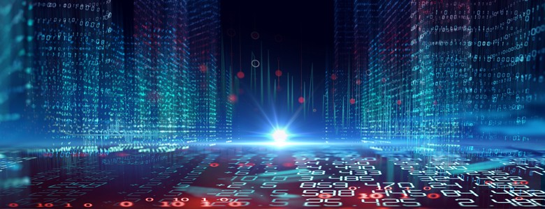 Insight and Adobe