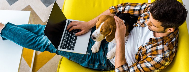 Work from home