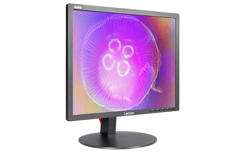 ThinkVision 19-inch Monitor